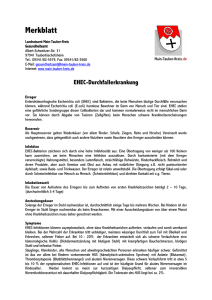 EHEC - Merkblatt des Gesundheitsamtes zu EHEC