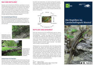 Die Reptilien im Landschaftspark Binntal, 2.4 MB