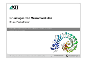 Sekundärstruktur - Molekulare Aufarbeitung von Bioprodukten