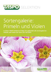 Sortengalerie: Primeln und Violen