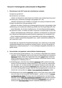 V09 - Leiterschaukel - Schulentwicklung NRW