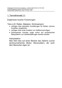 1. Tiermathematik (1) Ergebnisse neuerer Forschungen: Tiere (z.B.