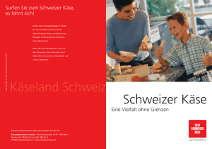 Schweizer Käse Käseland Schweiz