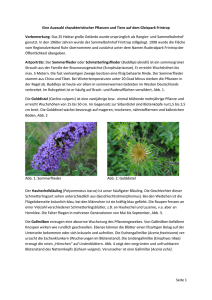Seite 1 Eine Auswahl charakteristischer Pflanzen und Tiere auf dem