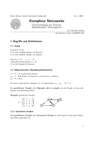 Komplexe Netzwerke