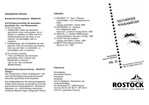 Faltblatt Waldameisen (application/pdf/pdf 74.0 KB)