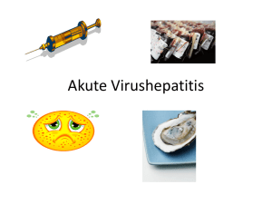 Akute Virushepatitis