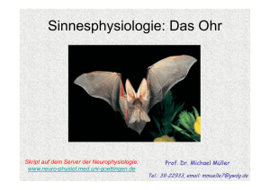 Sinnesphysiologie: Das Ohr