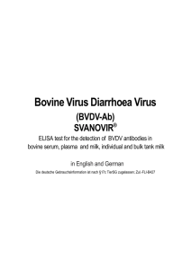Bovine Virus Diarrhoea Virus (BVDV-Ab)