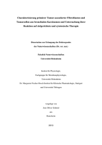 Charakterisierung primärer Tumor-assoziierter - OPUS