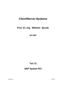 SAP System R/3 - Technische Informatik