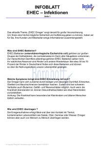 INFOBLATT EHEC – Infektionen - Borghoff Dienstleistungen GmbH