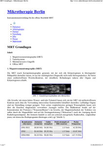 MRT Grundlagen - Mikrothera