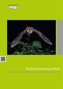 Nachbearbeitung Schall - Paul Scherrer Institut