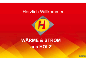 Wärme und Strom aus Holz