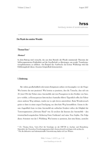 hamburg review of social sciences Thomas Kron Abstract1 In dem