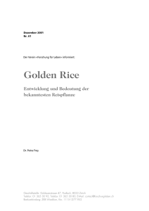 Golden Rice - Forschung für Leben