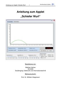 Anleitung zum Applet „Schiefer Wurf“