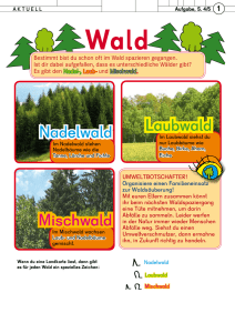 Laubwald Mischwald Nadelwald - cms