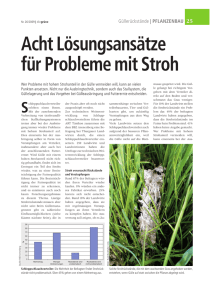 8 Lösungsansätze für Probleme mit Stroh