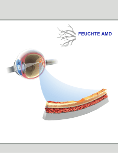 Patienten Broschüre - Die Wissenschaft der AMD Forschung