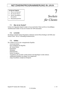 Sockets für Clients - Joller-Voss