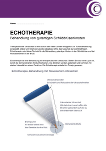 Einverständlis Echotherapie