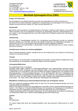 CMV-Infektion in der Schwangerschaft – ein häufig unterschätztes