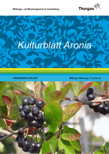 Kulturblatt Aronia
