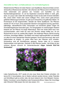 Artenvielfalt der Beet- und Balkonpflanzen (12) - KGV "Alt