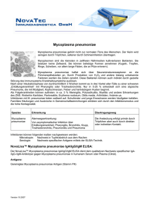 Mycoplasma pneumoniae