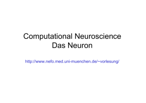 Computational Neuroscience Das Neuron