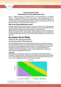 Infoblatt Lebercheck Information