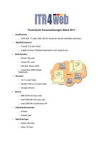 ITR4Web - Technische Voraussetzungen (Stand: 2011)