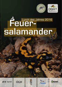 euer- salamander - SKN