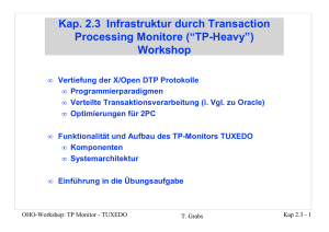 Kap. 2.3 Infrastruktur durch Transaction Processing Monitore (“TP