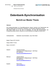 Datenbank-Synchronisation Bericht zur Master Thesis