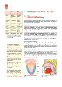 3 Das Fenster zur Welt – die Sinne