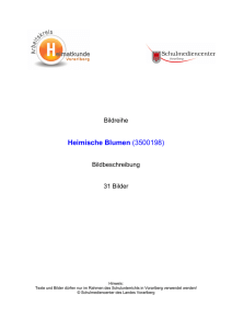 3500198 Heimische Blumen Text