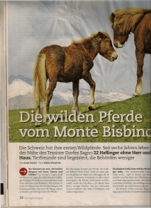 Die Schweiz hat ihre ersten Wildpferde. Seit sechs Iahren leben der