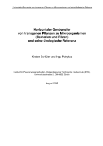 Horizontaler Gentransfer von transgenen Pflanzen zu