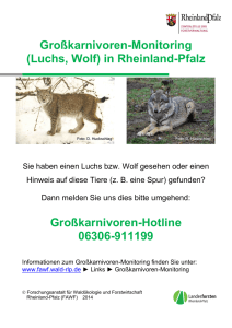 Großkarnivoren-Monitoring (Luchs, Wolf) in Rheinland