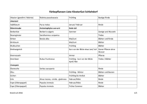 Färbepflanzen Liste KlosterGut Schlehdorf