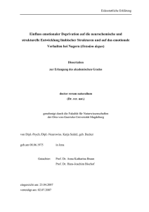 pdf-File - Universität Magdeburg