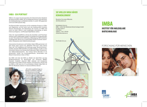 IMBA Flyer 2014