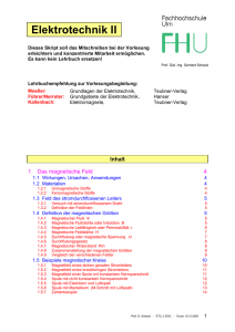 1 Das magnetische Feld
