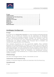 Amöbiasis Amöbenruhr - Arztpraxis Limmatplatz