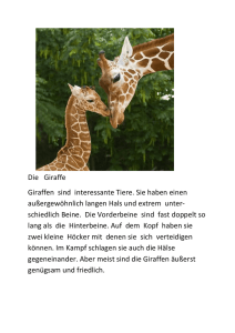 Die Giraffe Giraffen sind interessante Tiere. Sie haben einen außerge
