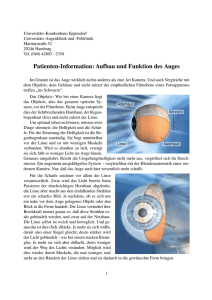 Patienten-Information: Aufbau und Funktion des Auges