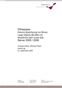 Whitepaper Server 2005 / 2008 - Intranet